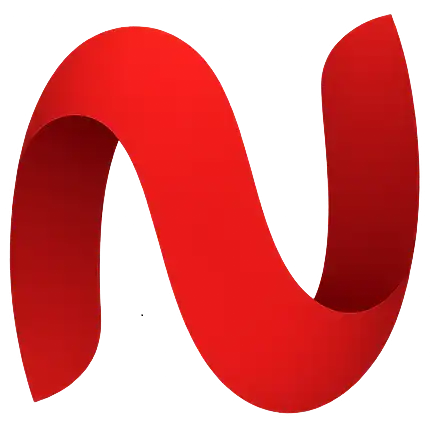 NetMirror Logo